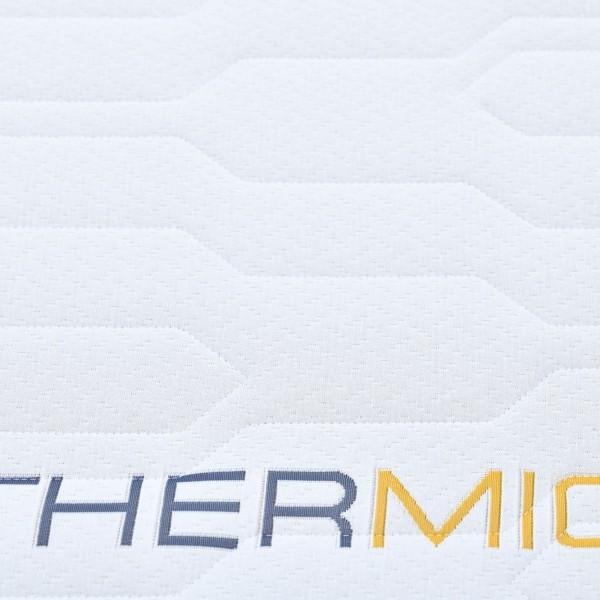 Thermic 6
